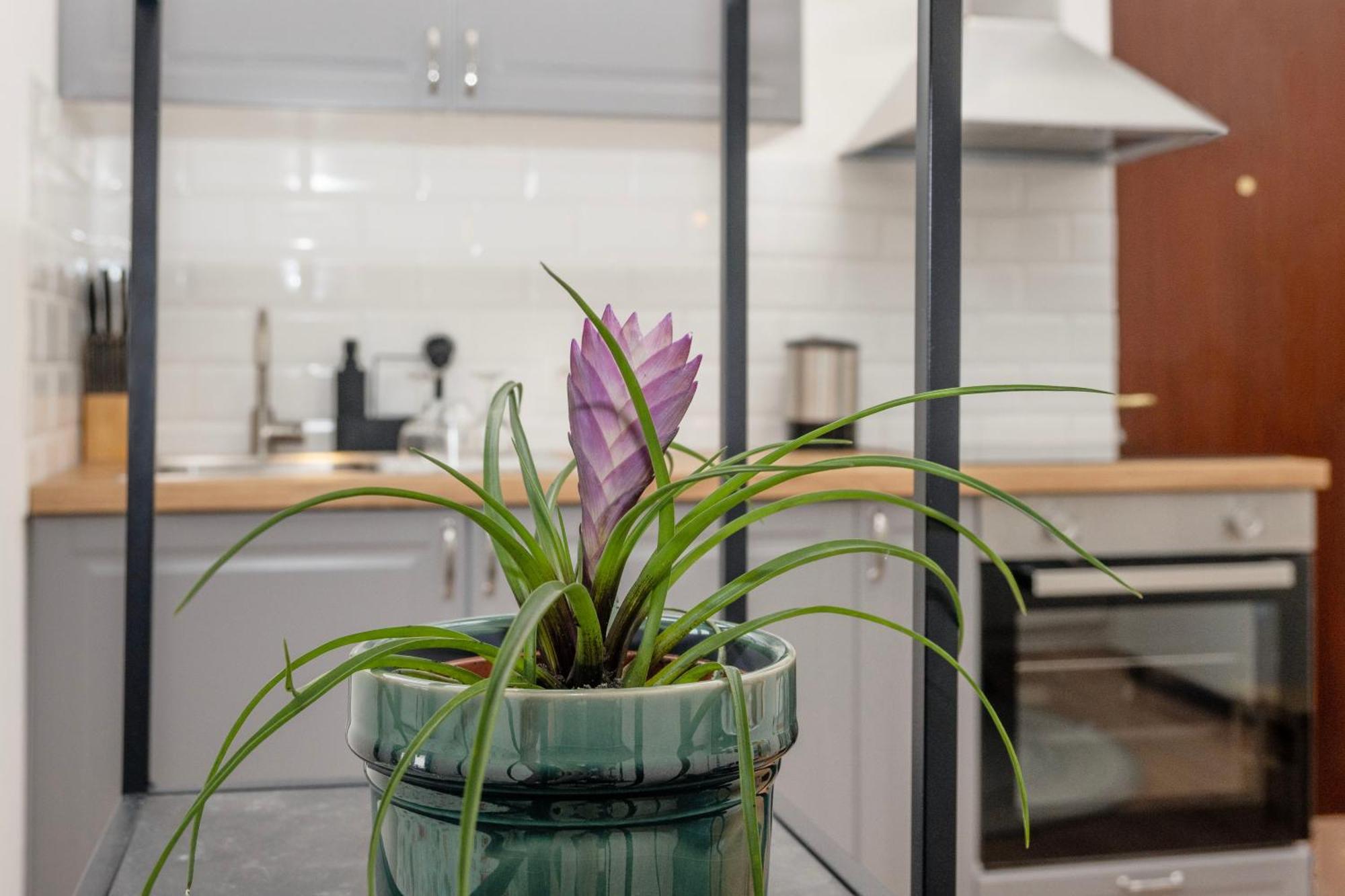 Studio Apartment Stadium ザグレブ エクステリア 写真